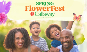 Spring Flower Fest